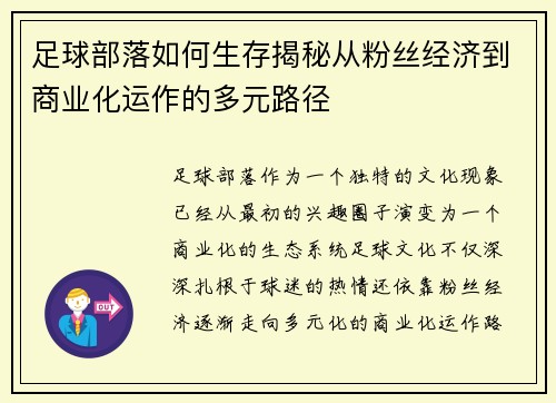 足球部落如何生存揭秘从粉丝经济到商业化运作的多元路径